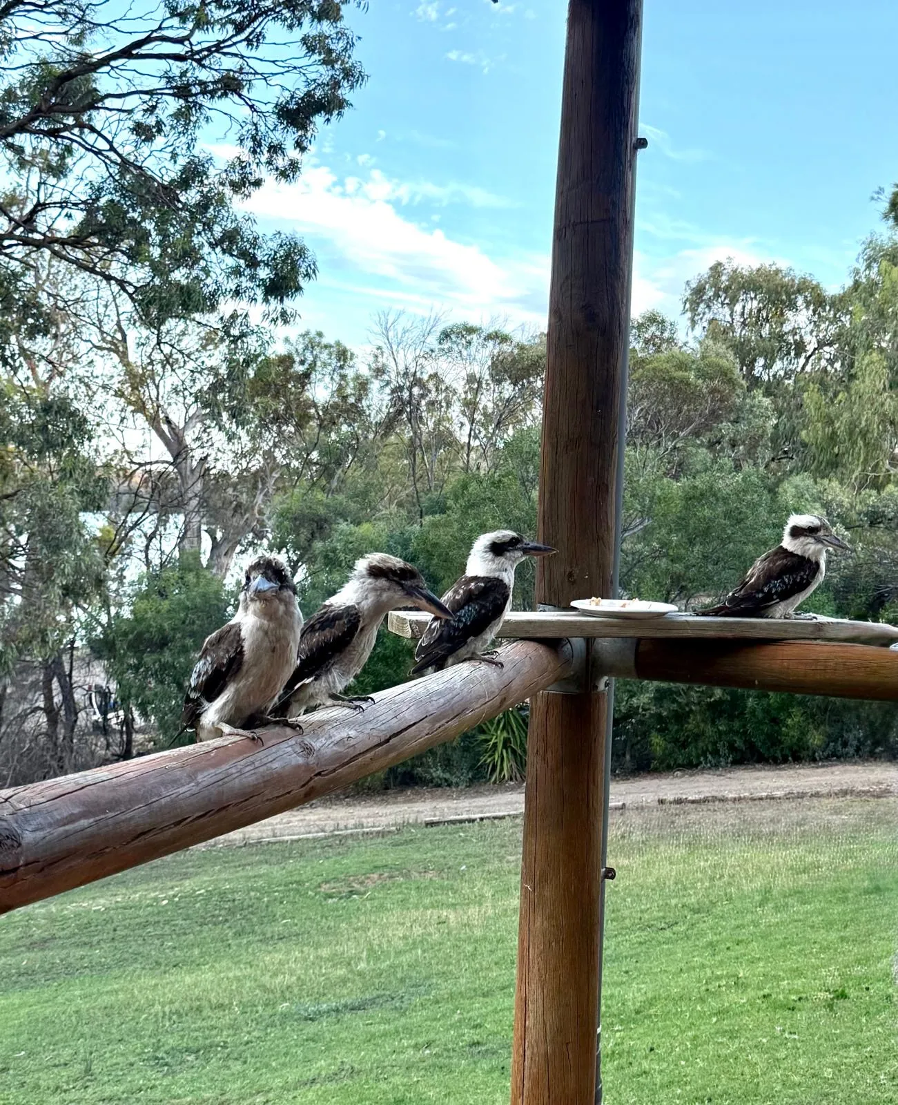 The Getaway — River Murray Retreat, Sleeps 24